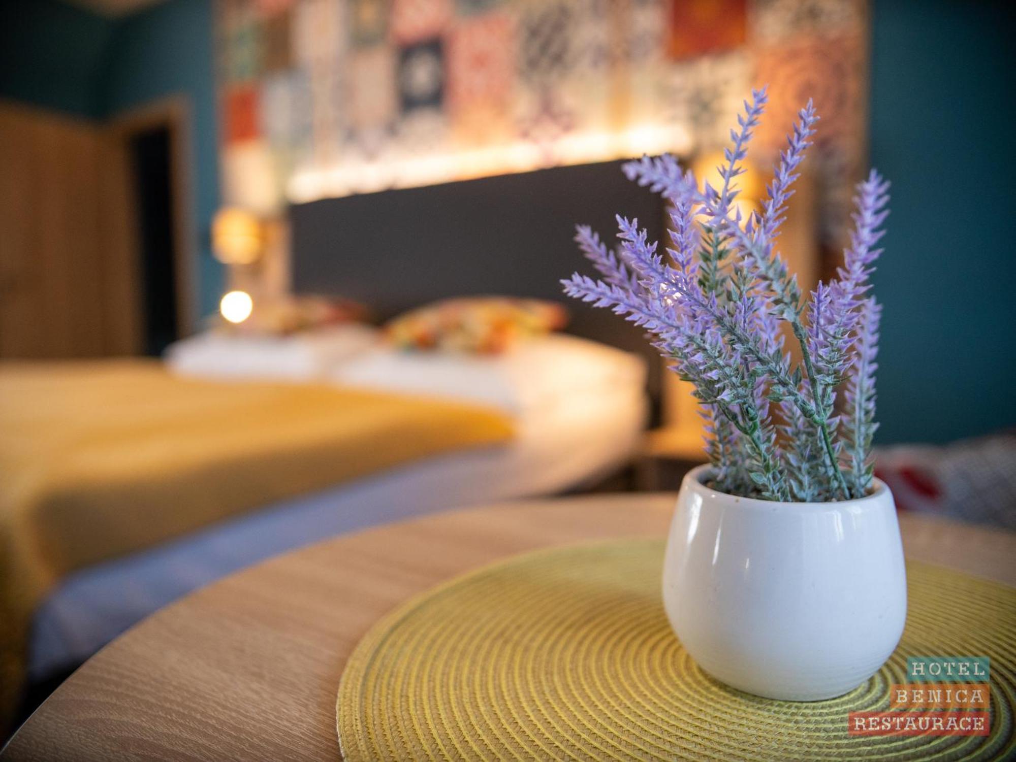 Hotel Benica Benesov  Eksteriør billede